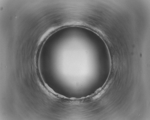 X0000066081422200603241420