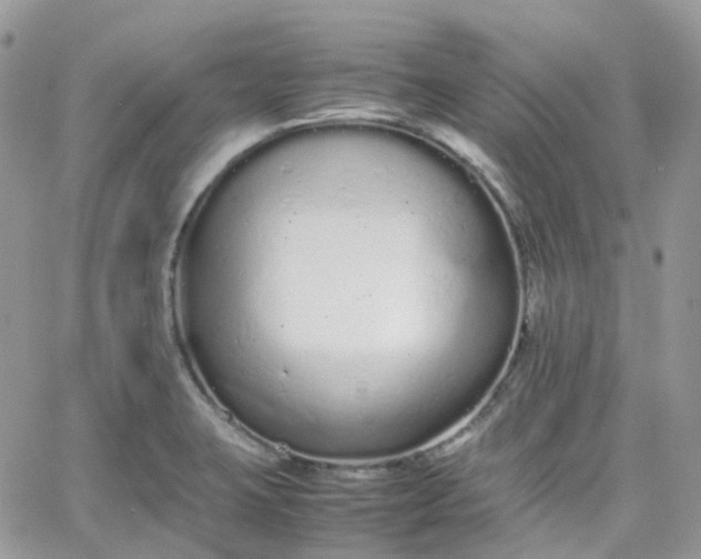 X0000066081423200603241420