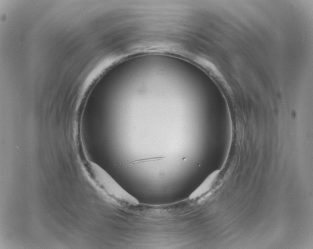 X0000066081424200603241420