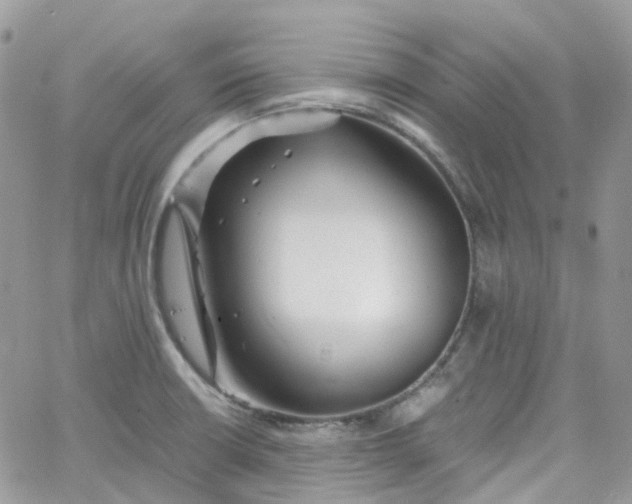 X0000066081426200603241420