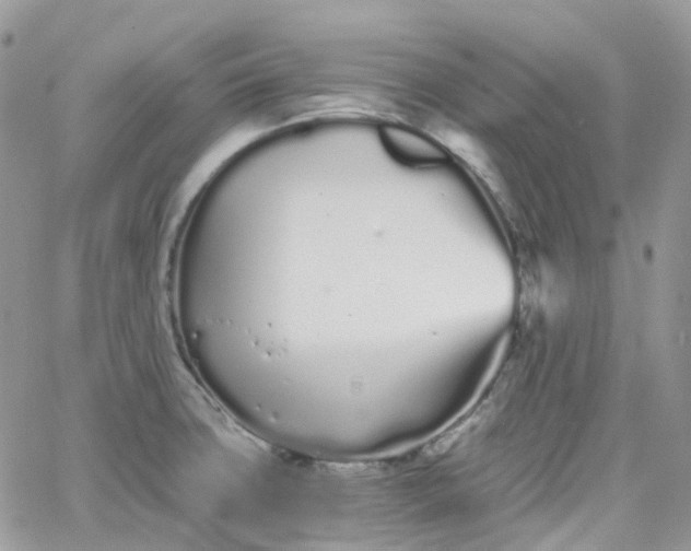 X0000066081427200603241420