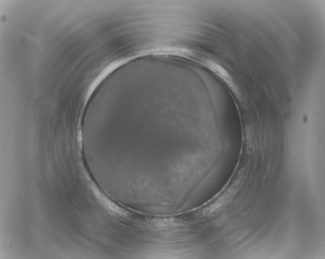 X0000066081428200603241420