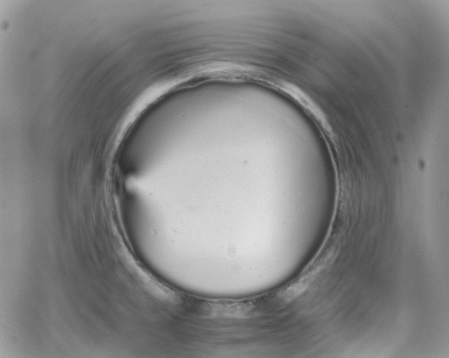 X0000066081429200603241420