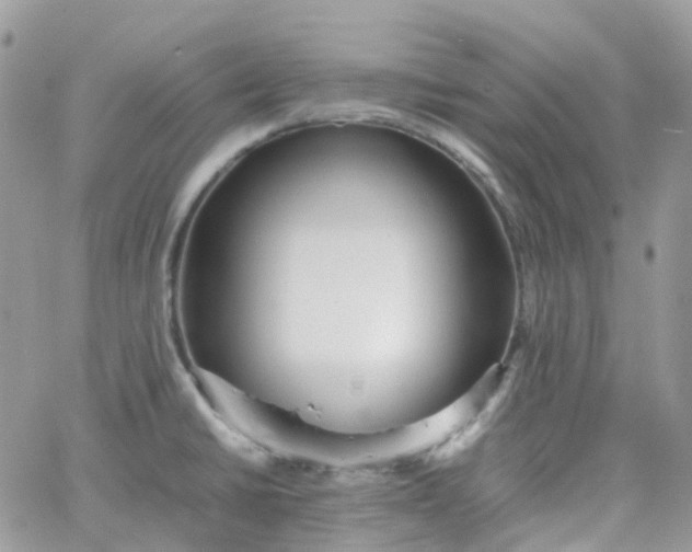 X0000066081430200603241420