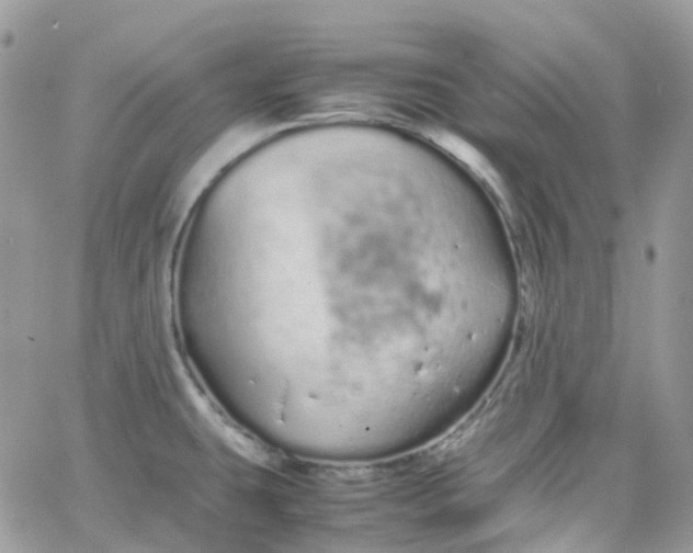 X0000066081431200603241420