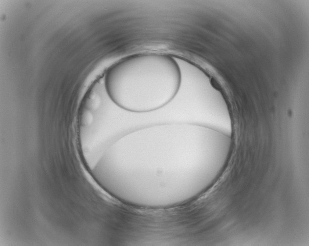 X0000066081432200603241421