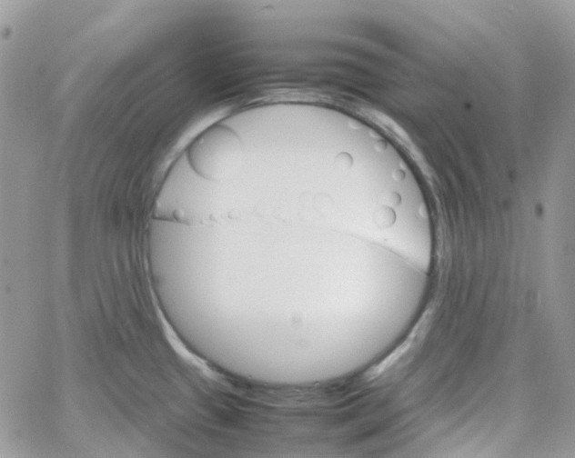 X0000066081433200603241421