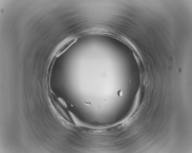 X0000066081434200603241421