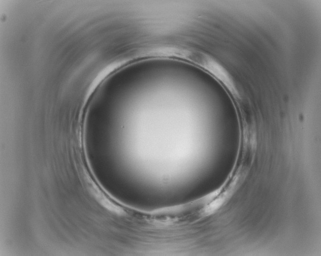 X0000066081436200603241421