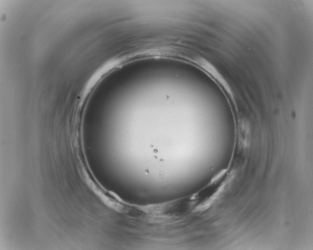 X0000066081437200603241421