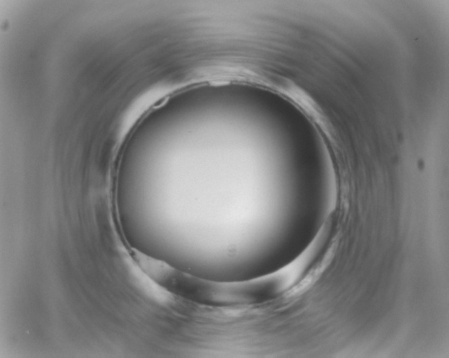 X0000066081438200603241421