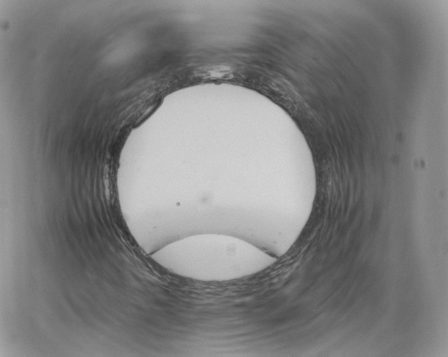 X0000066081442200603241420