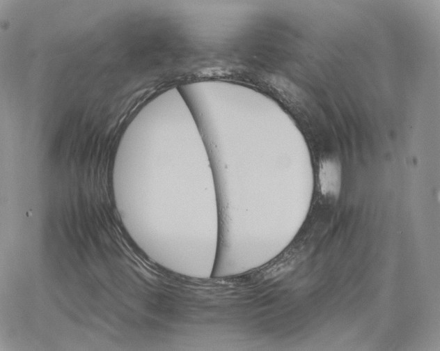 X0000066081444200603241420