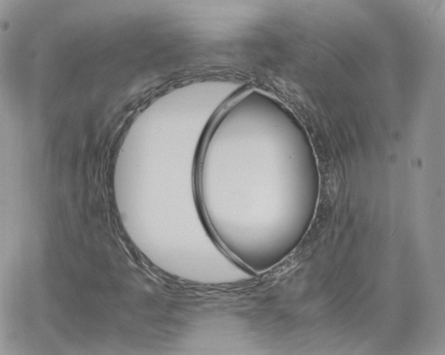 X0000066081445200603241420