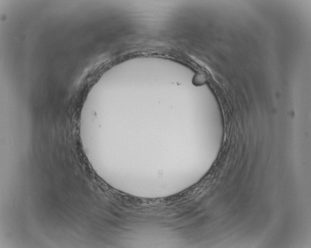 X0000066081447200603241420