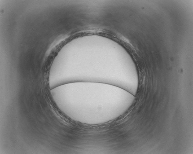 X0000066081448200603241420