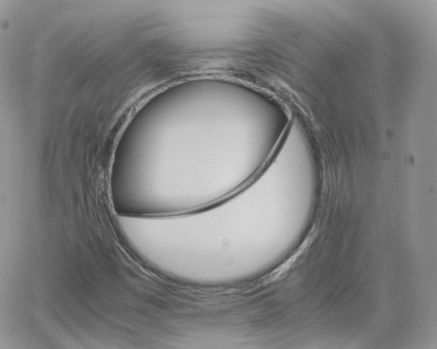 X0000066081449200603241420