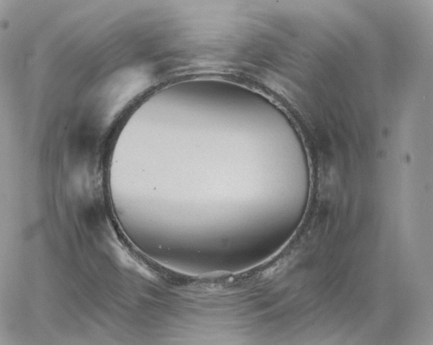 X0000066081450200603241420