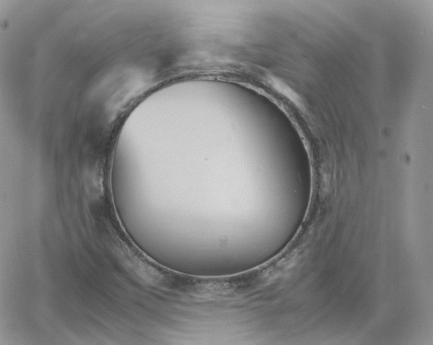 X0000066081451200603241420