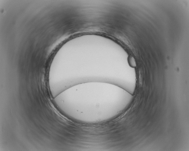 X0000066081452200603241420