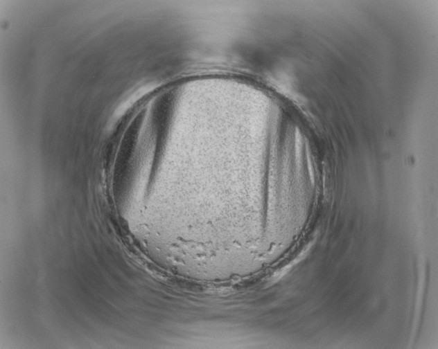 X0000066081453200603241420