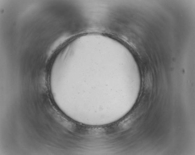 X0000066081454200603241420