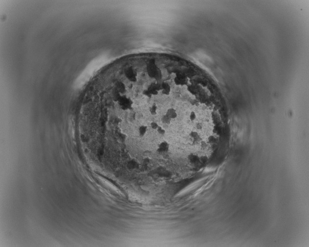 X0000066081455200603241420