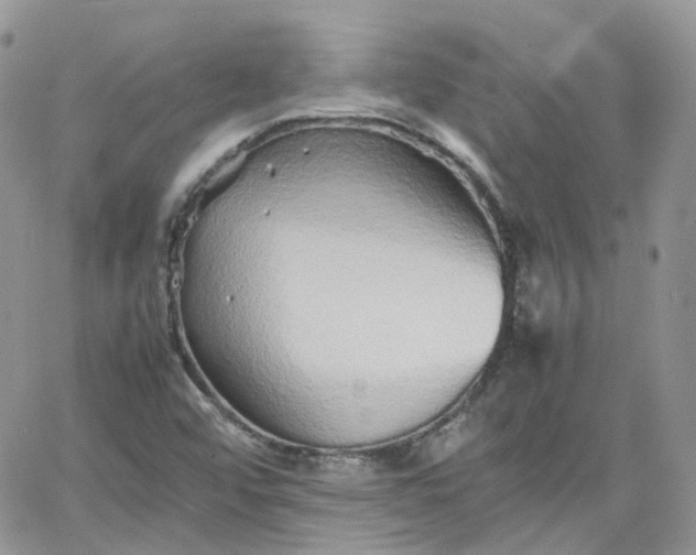 X0000066081456200603241420