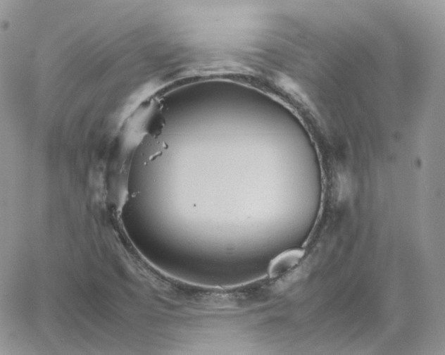 X0000066081457200603241420