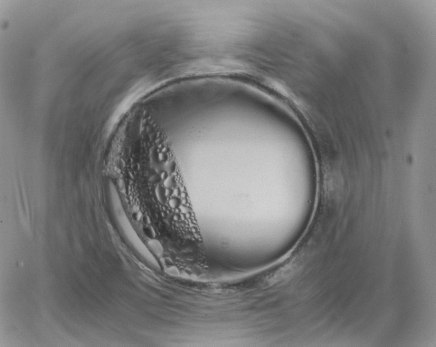 X0000066081459200603241420