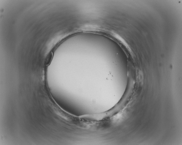 X0000066081461200603241420