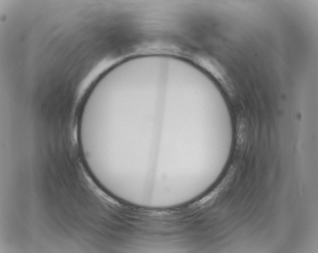 X0000066081462200603241419