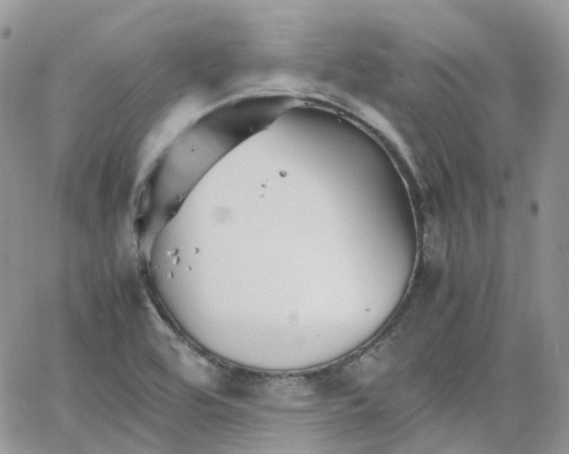 X0000066081464200603241419