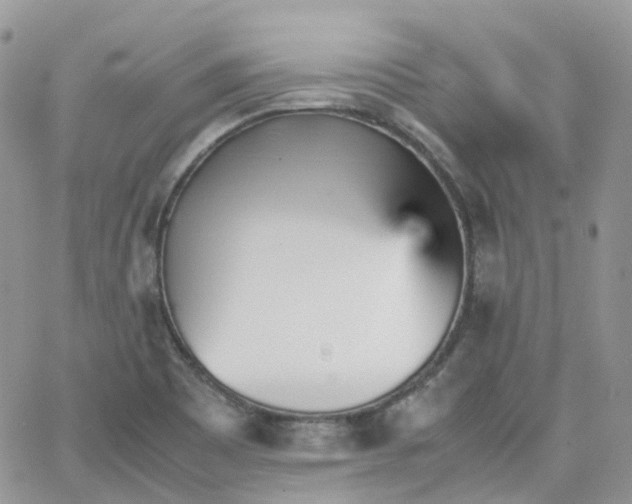 X0000066081465200603241419