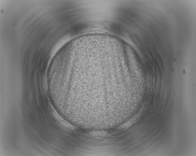 X0000066081466200603241419