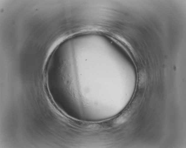 X0000066081467200603241419