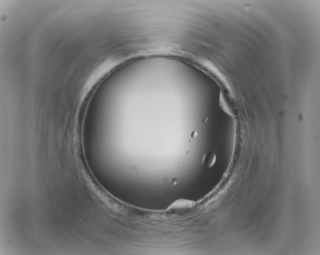 X0000066081469200603241419