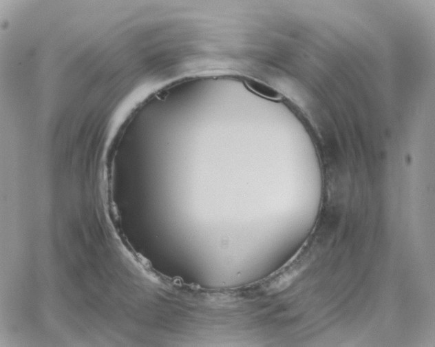 X0000066081472200603241419