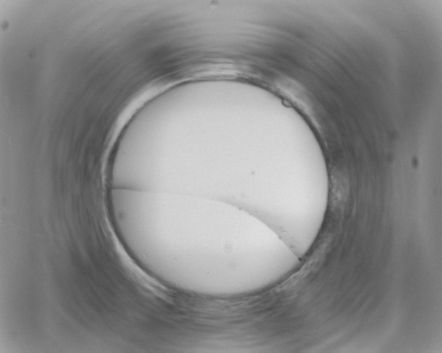 X0000066081475200603241419