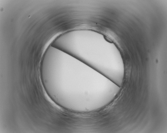 X0000066081476200603241419