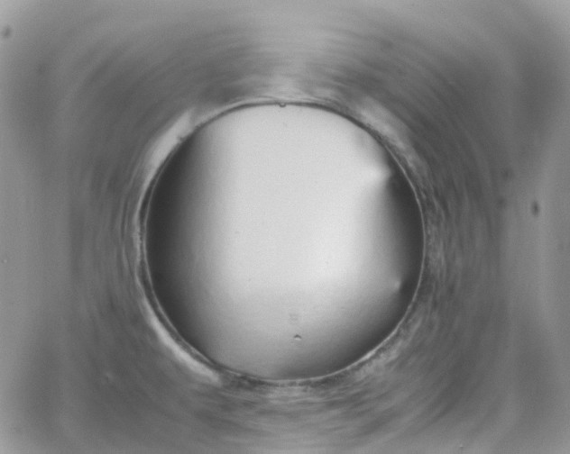 X0000066081479200603241419