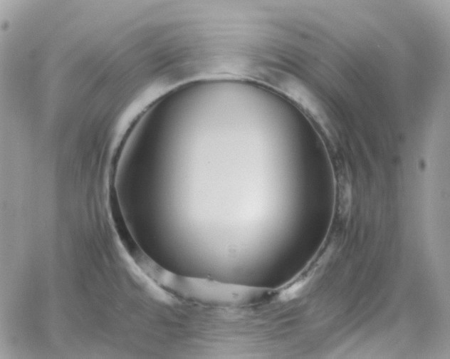 X0000066081480200603241419