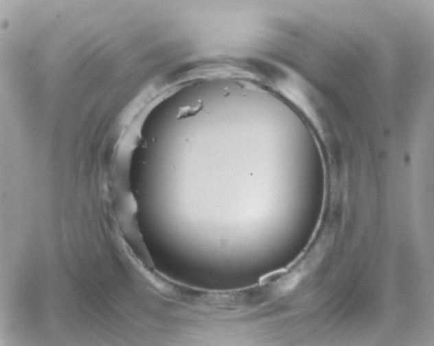 X0000066081481200603241419