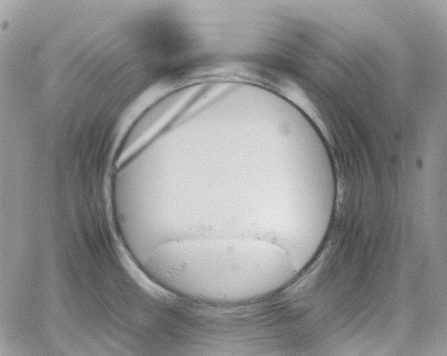 X0000066081482200603241419