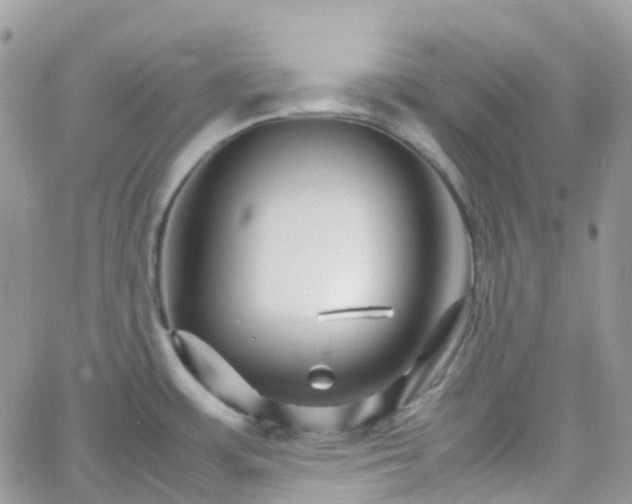 X0000066081483200603241419