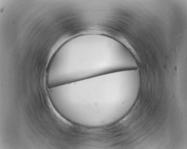 X0000066081484200603241419