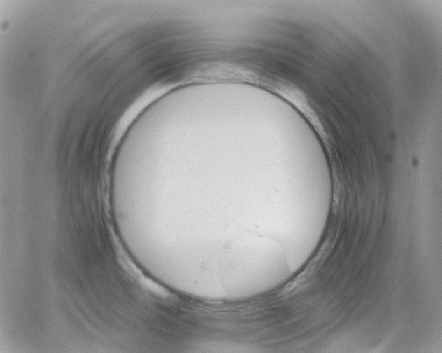 X0000066081486200603241419