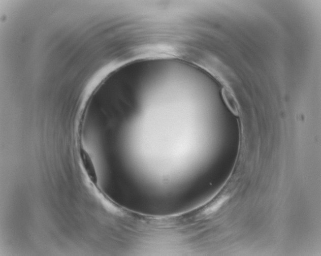 X0000066081488200603241419