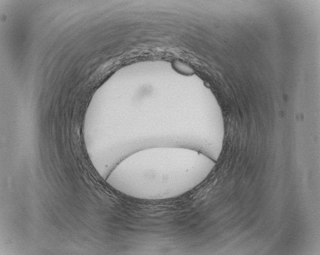 X0000066081489200603241418