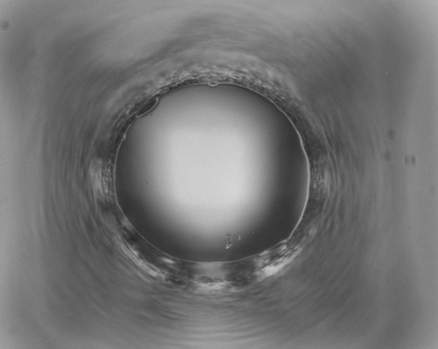 X0000066081490200603241418